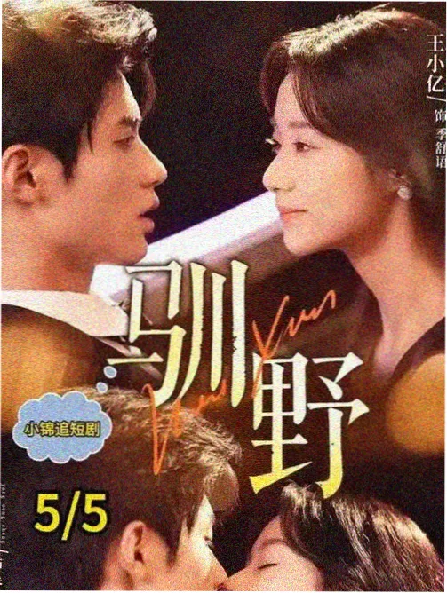 边界线 飘花剧集在线播放高清海报